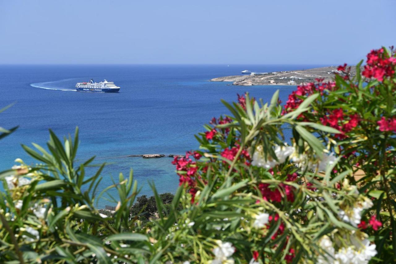 Anemos Villa Parikia  Exterior photo